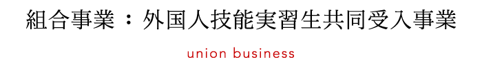 組合事業：外国人技能実習生共同受入事業